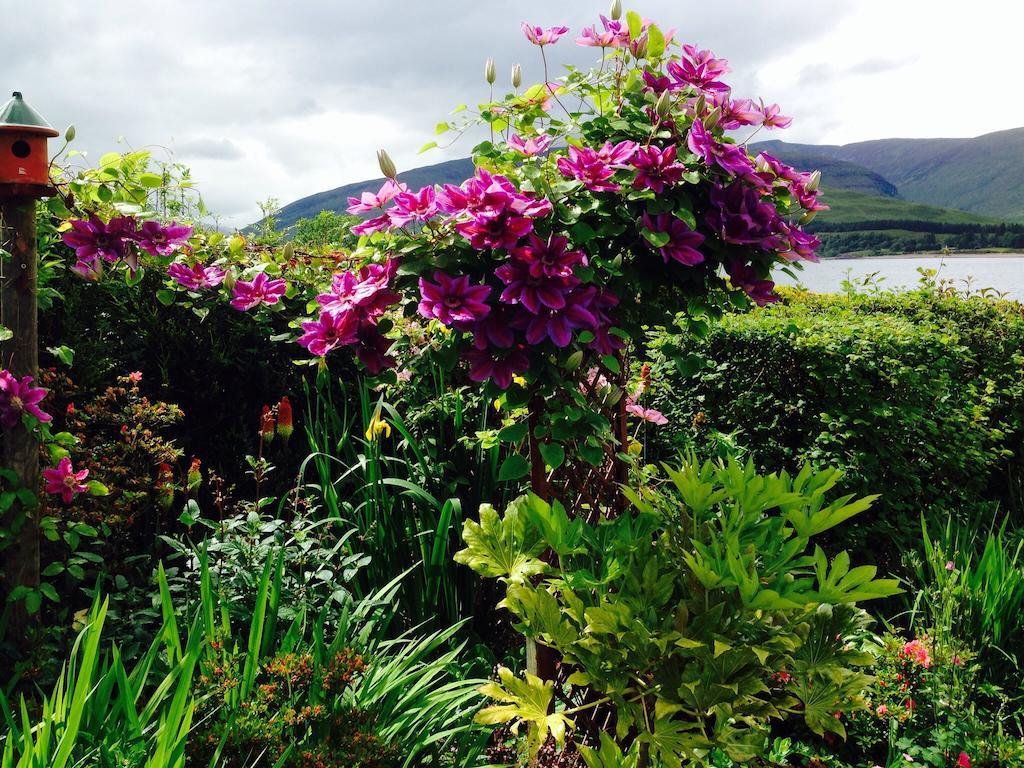 Hillview Guest House Fort William Zewnętrze zdjęcie